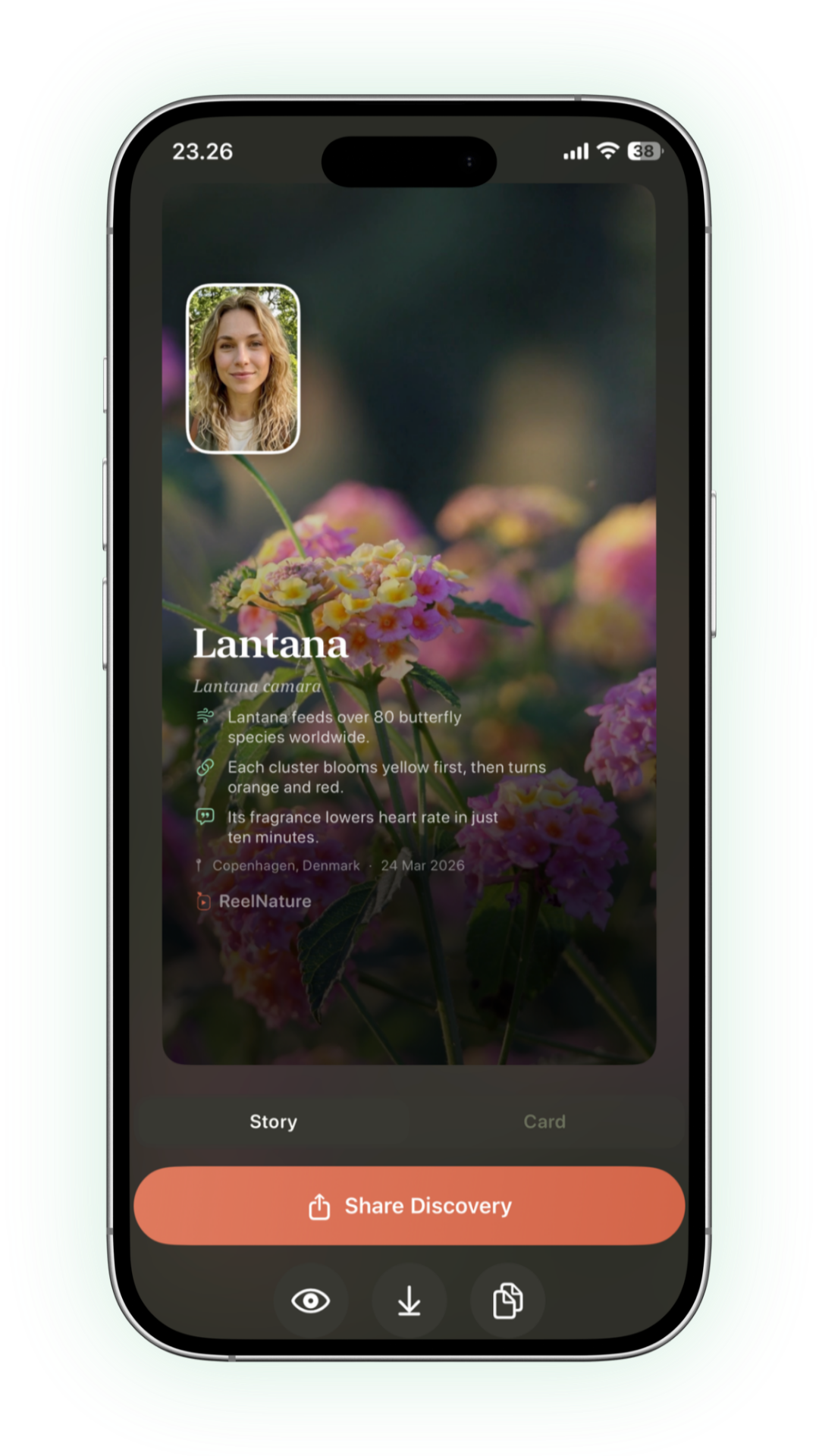Discovery Card — Lantana, Copenhagen
